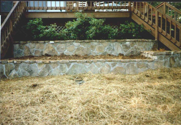 Print14.jpg (98705 bytes)